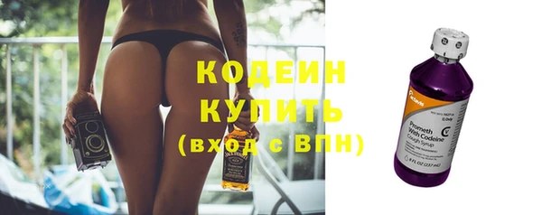 гашик Корсаков