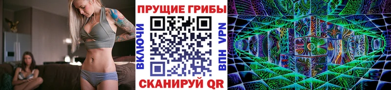где купить наркотик  Кувшиново  Галлюциногенные грибы мицелий 